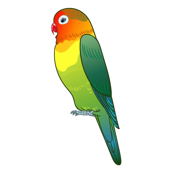 Beautiful tropical exotic lovebird. Vector illustration. - Foto, imagen