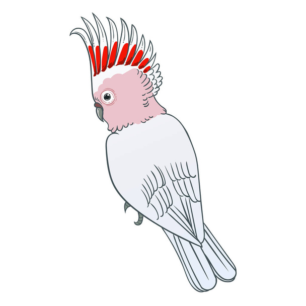 Beautiful tropical exotic parrot bird. Vector illustration. - Fotoğraf, Görsel