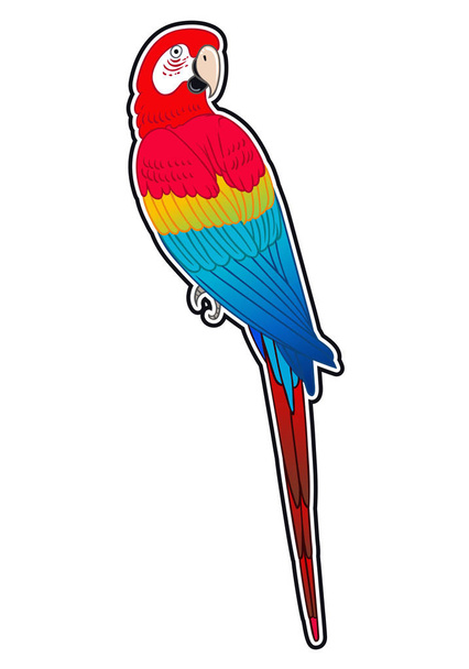 Beautiful tropical exotic parrot bird. Vector illustration. - Fotografie, Obrázek