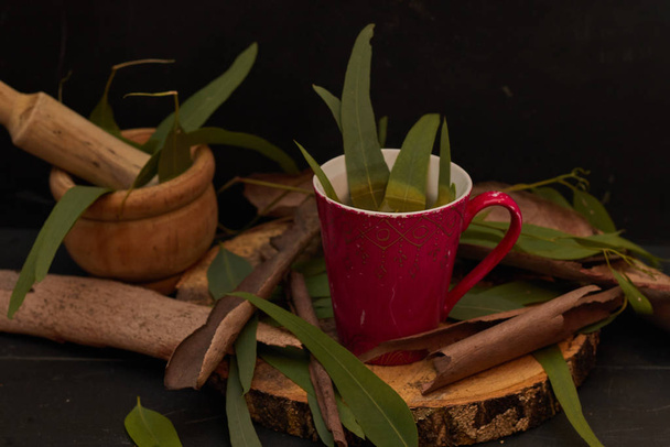 eucalyptus medicine tea over wood in dark background - Photo, Image