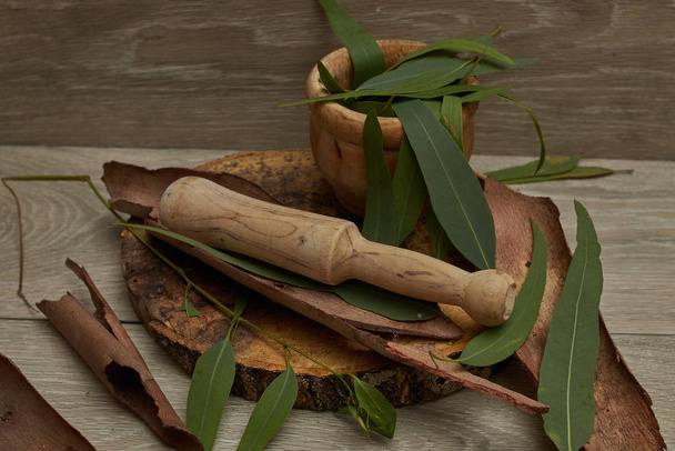 eucalyptus medicijnthee over hout op donkere achtergrond - Foto, afbeelding