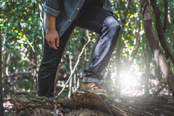 Noha turisty v lese. Cestovatel překříží kládu v lese. - Fotografie, Obrázek