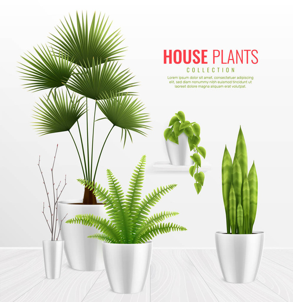Plantas de la casa en la composición del pote Concepto realista
 - Vector, Imagen