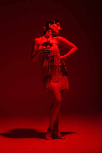 hermosa bailarina de tango en vestido con franja sosteniendo rosa sobre fondo oscuro con iluminación roja
 - Foto, imagen
