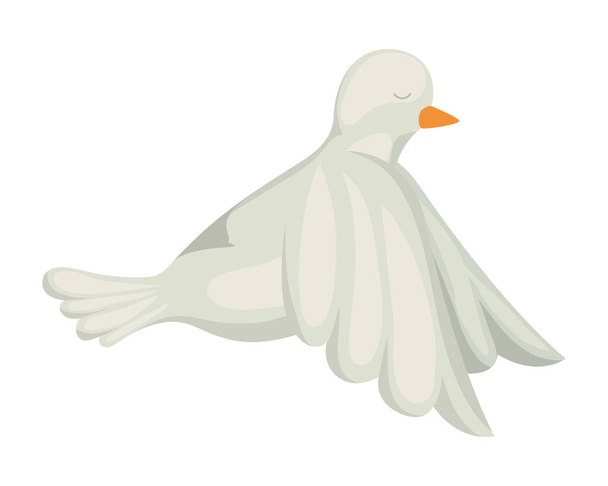 Paloma aislada diseño de vectores de aves
 - Vector, Imagen