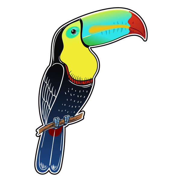 Beautiful tropical exotic bird. Toucan bird. Vector illustration. - Foto, Imagen