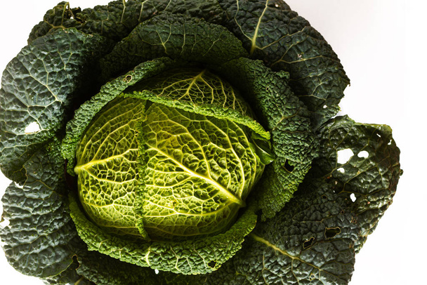 Healthy food concept closeup organic Green savoy cabbage fresh f - Photo, image