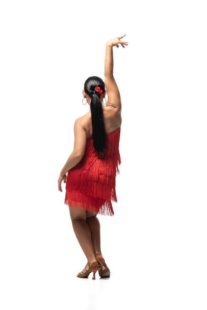 back view of expressive dancer in elegant dress with fringe performing tango on white background - Photo, Image
