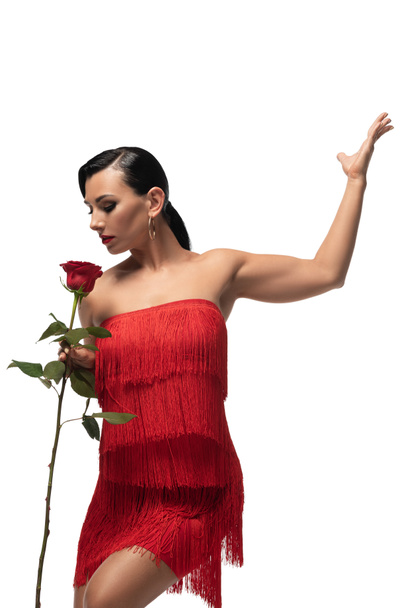 expressive, stylish dancer holding rose while performing tango isolated on white - Фото, изображение