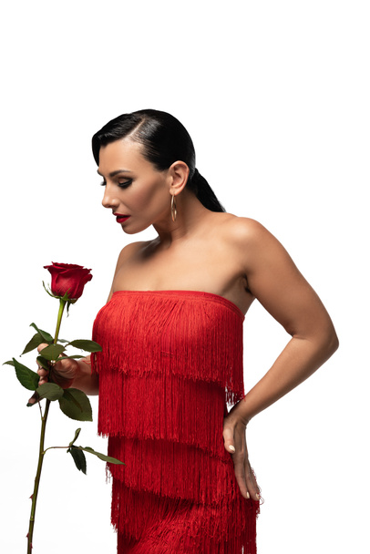 sensual y elegante bailarina de tango en vestido con flecos sosteniendo rosa roja aislada en blanco
 - Foto, imagen