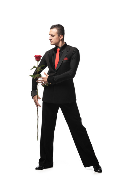 ekspresyjny tancerz w eleganckim czarnym garniturze wykonujący tango z czarną różą na białym tle - Zdjęcie, obraz