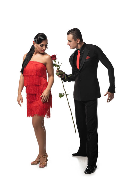 stylish, confident dancer gifting rose to beautiful partner while performing tango on white background - Photo, Image