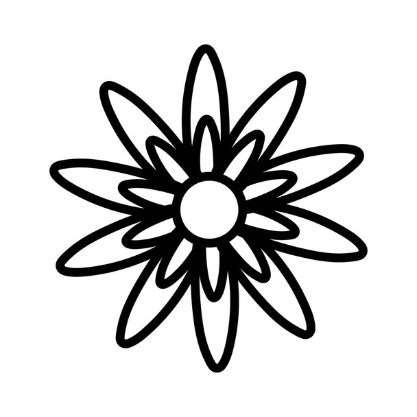 Ізольований квітковий орнамент Векторний дизайн
 - Вектор, зображення