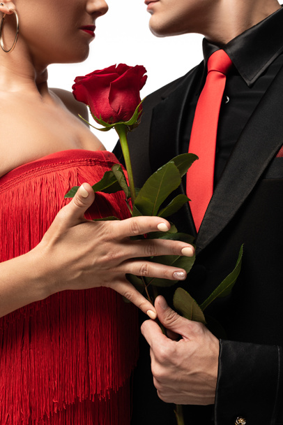 cropped view of dancer gifting red rose to partner while performing tango isolated on white - Фото, зображення
