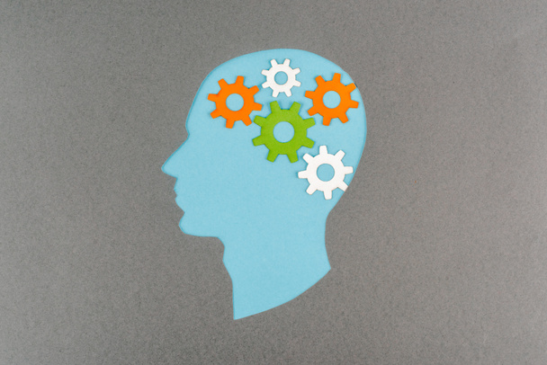 top view of cut out blue human head with colorful gears isolated on grey - Photo, Image