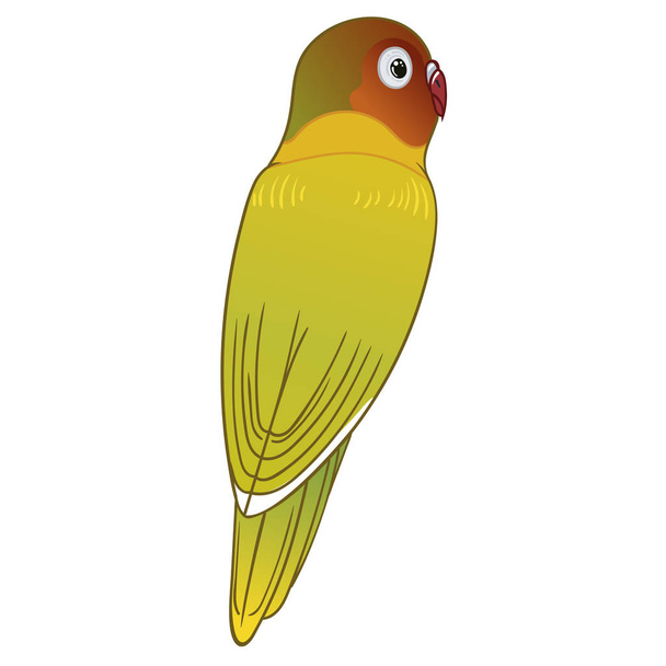 Beautiful tropical exotic lovebird. Vector illustration. - 写真・画像