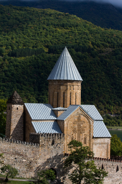 View of Svetitskhoveli Cathedral - Foto, Bild
