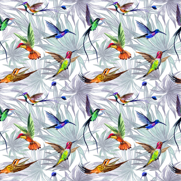 Hummingbird birds seamless pattern on palm leaves background, watercolor illustration. Tropical print for fabric, wallpaper, background for various designs. - 写真・画像