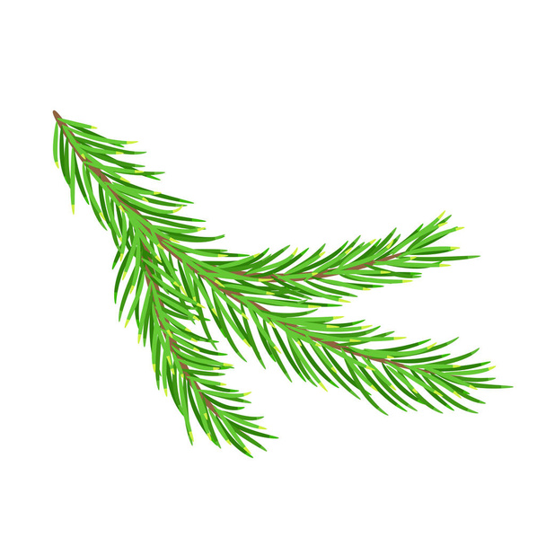 Christmas green lush spruce branch. Fir-tree New Year branch. Ve - Vector, Image