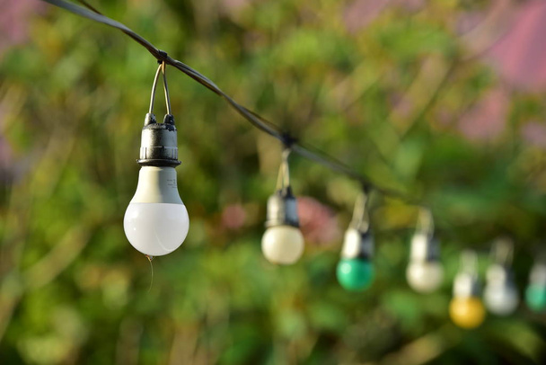 lâmpadas coloridas penduradas no jardim
 - Fotografia, imagem