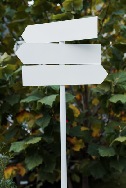 white and empty directional arrows near green leaves  - Foto, afbeelding