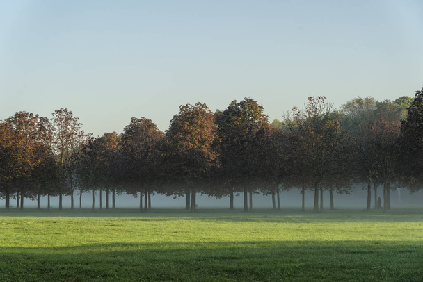 Parco Nord van Milaan in een oktober ochtend - Foto, afbeelding