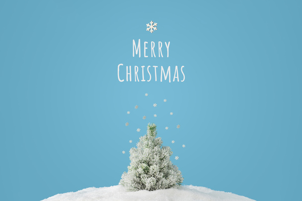 Karlı ağaçlı yaratıcı bir düzen ve parlak mavi arka planda Mutlu Noeller yazılı kar taneleri. Minimum kış doğası tatil sahnesi.  - Fotoğraf, Görsel