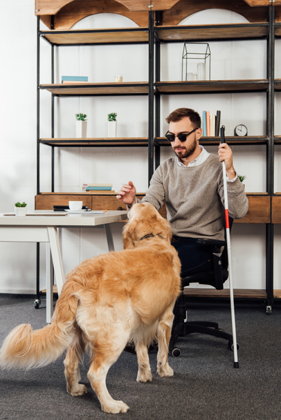 Blind man with walking stick playing with golden retriever at home - 写真・画像