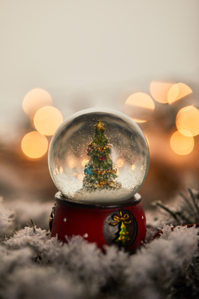 little snowball with christmas tree standing on spruce branches in snow with golden lights bokeh - Photo, Image