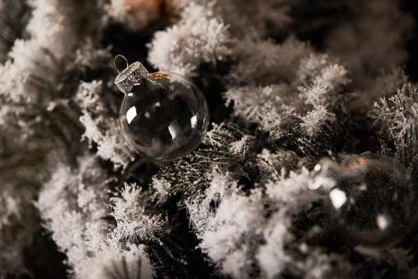 декоративні прозорі різдвяні кульки на ялинових гілках у снігу
 - Фото, зображення