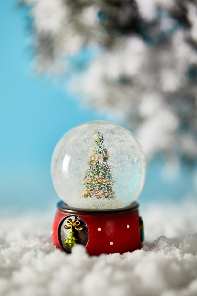 διακοσμητικό χριστουγεννιάτικο δέντρο σε χιονόμπαλα στέκεται στο μπλε με το χιόνι και τα κλαδιά ερυθρελάτης - Φωτογραφία, εικόνα