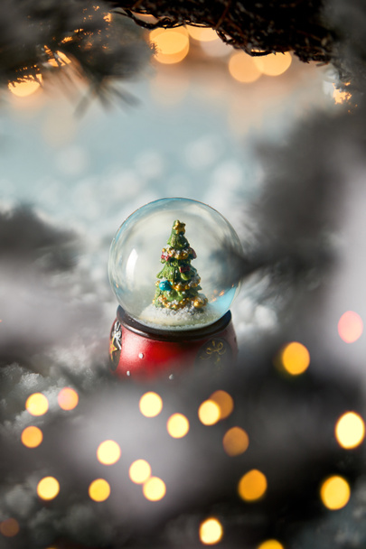 μικρή χιονόμπαλα με χριστουγεννιάτικο δέντρο στέκεται σε μπλε χρώμα με κλαδιά ερυθρελάτης, χιόνι και θολή φώτα  - Φωτογραφία, εικόνα
