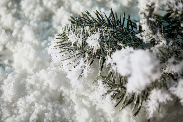 lähikuva kuusen oksat lumessa jouluksi tausta
 - Valokuva, kuva