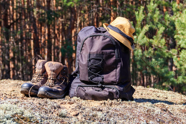 Plecak turystyczny, buty turystyczne i kapelusz na polanie w sosnowym lesie. Koncepcja wędrówki - Zdjęcie, obraz