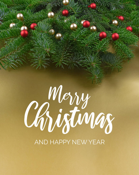 Merry Christmas and Happy New Year Sign with spruce branch - Foto, Bild