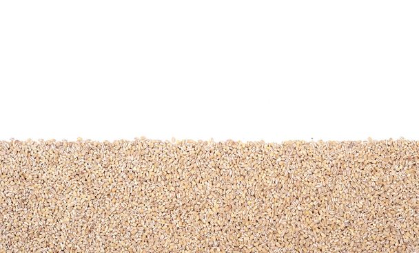 Pearl barley groats on white background. Top view, copy space, stripe - Foto, Imagem
