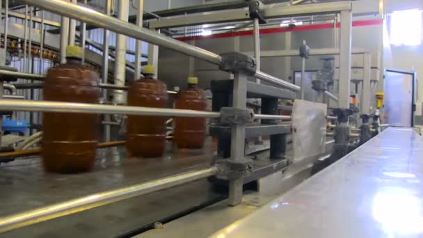 Shop for bottling beer in a brewery. - Footage, Video