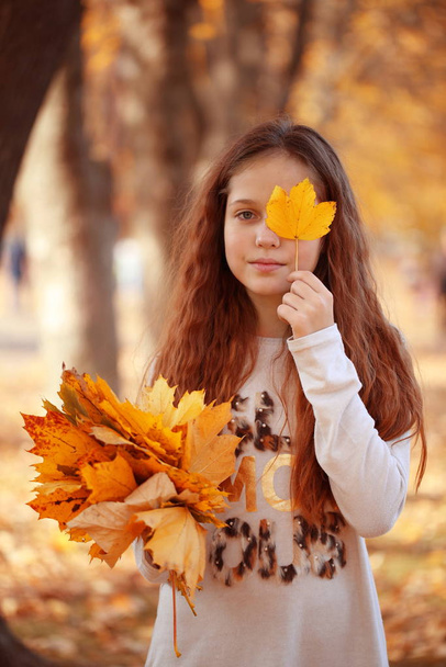 Chica con un ramo de hojas de arce en el parque de otoño
 - Foto, Imagen