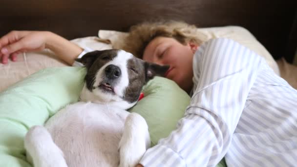 Young Woman Lying And Sleeping With Dog In Bed. - Filmmaterial, Video