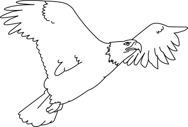 Eagle vector outline. Isolated. Sketch for anti stress coloring page, tattoo, poster, print, t-shirt, invitation, cards, banners, flyers, calendars, etc - drawings: art outline - Vector, Imagen