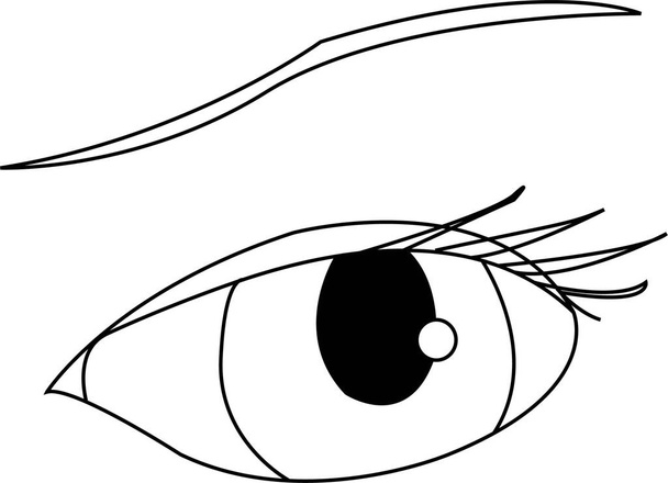 Eye vector outline. Isolated. Sketch for anti stress coloring page, tattoo, poster, print, t-shirt, invitation, cards, banners, flyers, calendars, etc - drawings: art outline - Vector, Image
