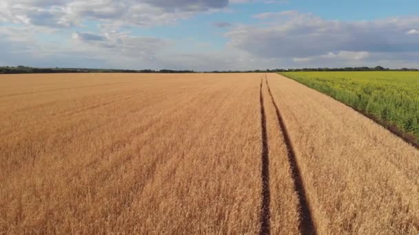 imagens aéreas de belo campo agrícola
 - Filmagem, Vídeo
