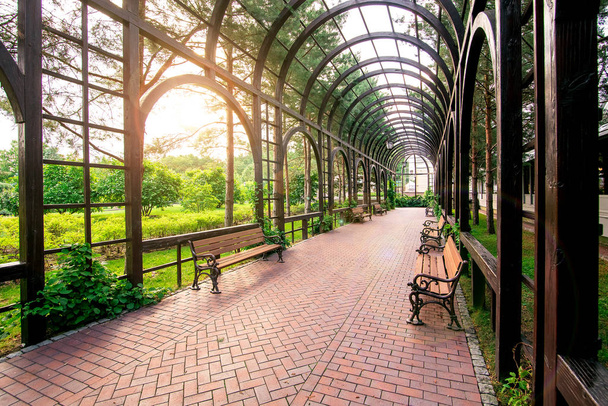 wooden arcade outdoor pergola in park with benches for relax with green climbing plants and trees on a summer evening sun flare. - Foto, afbeelding