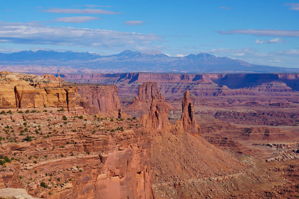 Vue sur les vastes canyons rocheux rouges du parc national des Canyonlands avec des montagnes enneigées en arrière-plan
. - Photo, image