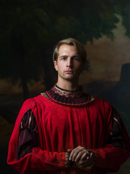 handsome man in a Royal red doublet - Photo, image