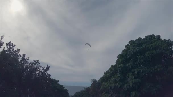 Paraglider Paragliding. Para Glider Gliding Over Trees.Outdoor Leisure Activity Sport - Footage, Video