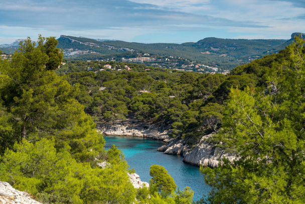 Panoramic view of Calanque de Port Pin in Calanques National Park, Provence, France. - Фото, изображение