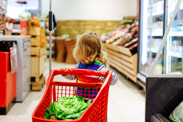 Ładny maluch dziewczyna pchając koszyk zakupów w supermarkecie. Małe dziecko kupuje owoce. Zakupy dla dzieci. Urocze dziecko z wózkiem wybierając świeże warzywa w lokalnym sklepie. - Zdjęcie, obraz