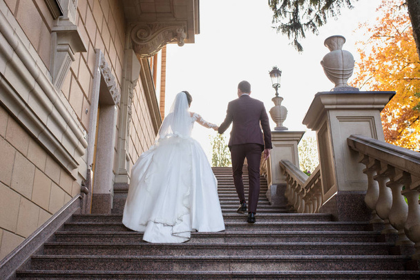 свадебная пара (женщина и мужчина) в свадебном платье и костюме прогуливаясь по лестнице замка на открытом воздухе. Понятие любви, семьи, нежности
 - Фото, изображение