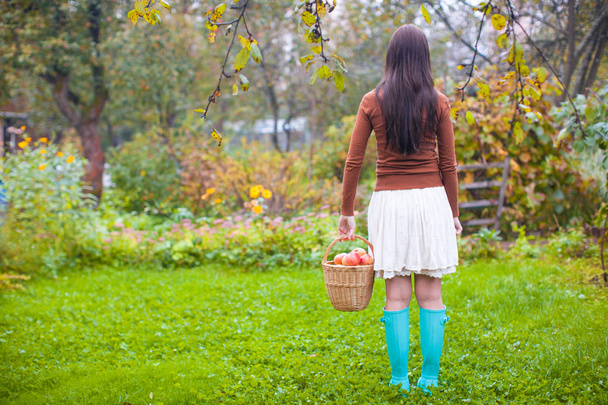 Rear view of Young woman in rubber boots holding the straw basket with red apples at autumn time - Photo, Image